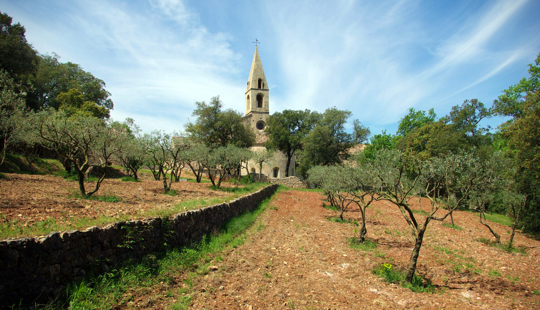 abbaye du thoronet03