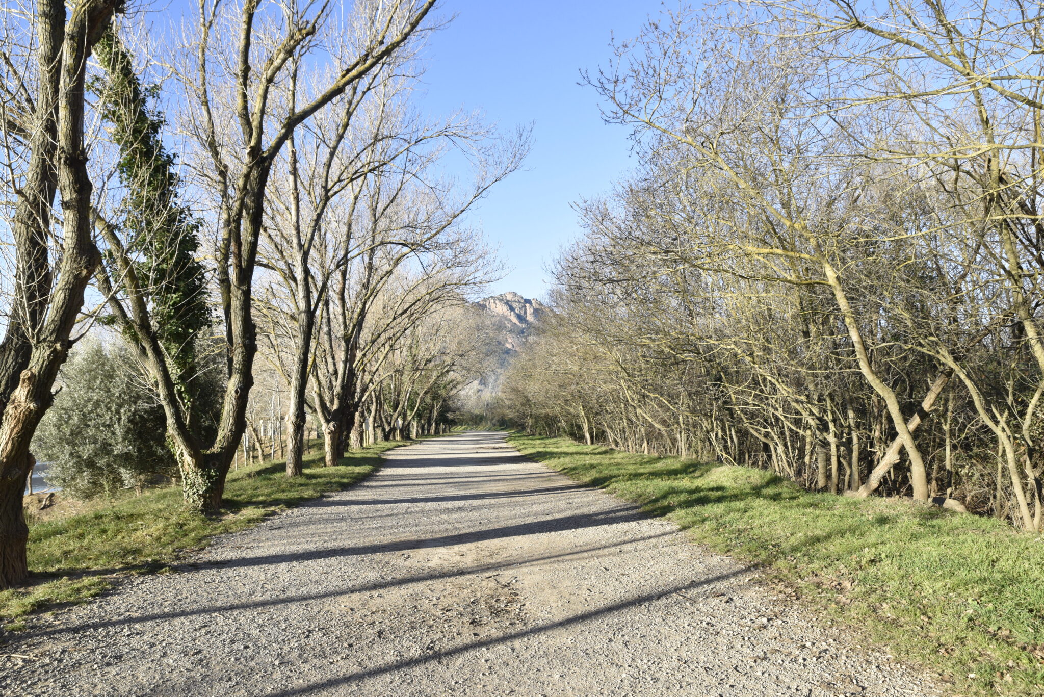 240115 les 3 croix depuis chemin cote lac (7)