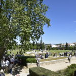 dsc8035
