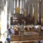dsc8226