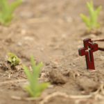 cross 1400020 1920