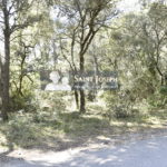 250319 saint joseph cotignac (1)