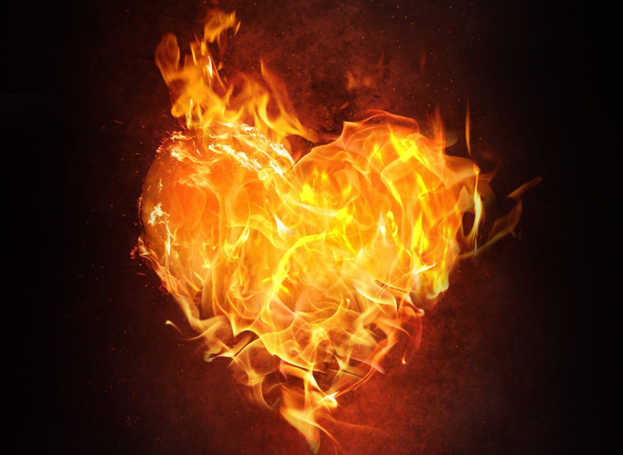 51581 heart 1783913