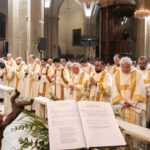 sans titre 1782 © virginie ferrero photographe