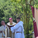 messe(5)