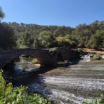 260707 pele vtt jeunes cotignac a hyeres © communaute cn (4)