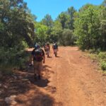 pele des peres © paroisse de la valette du var (5)