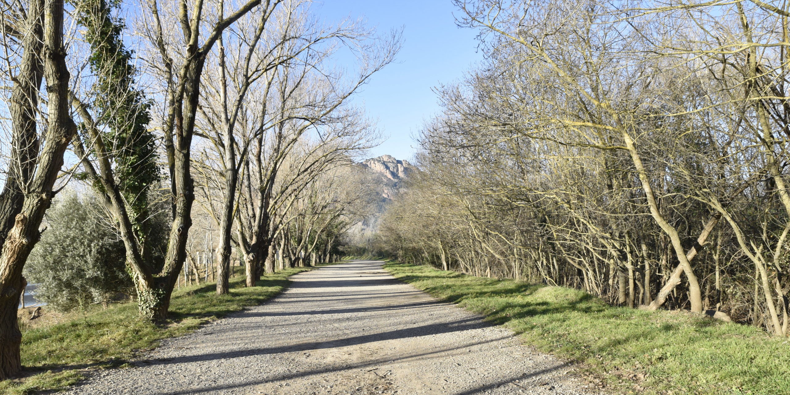 240115 les 3 croix depuis chemin cote lac (7)