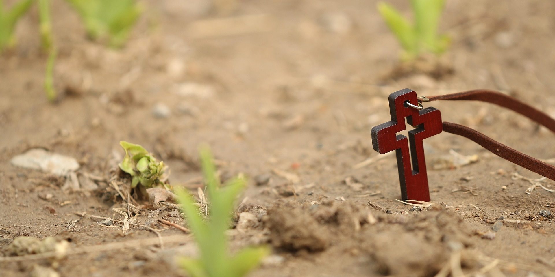 cross 1400020 1920